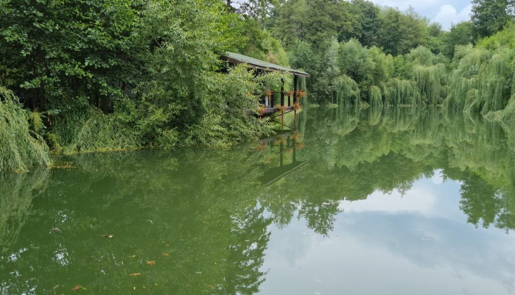 Screenshot 20220725 120211 Video Player