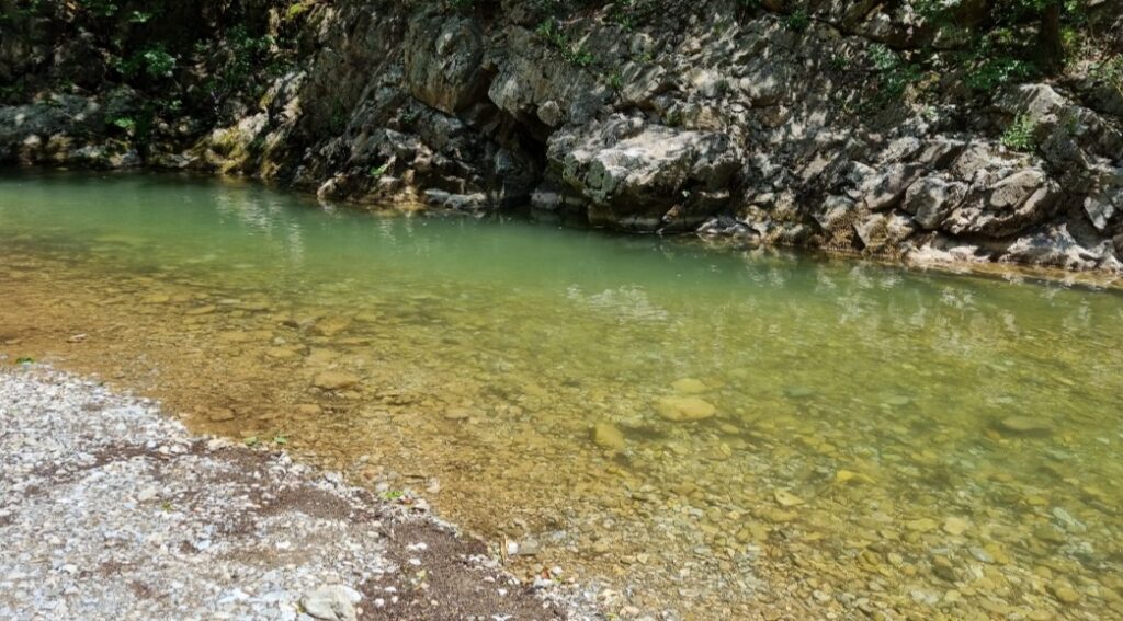 Screenshot 20220725 120853 Gallery