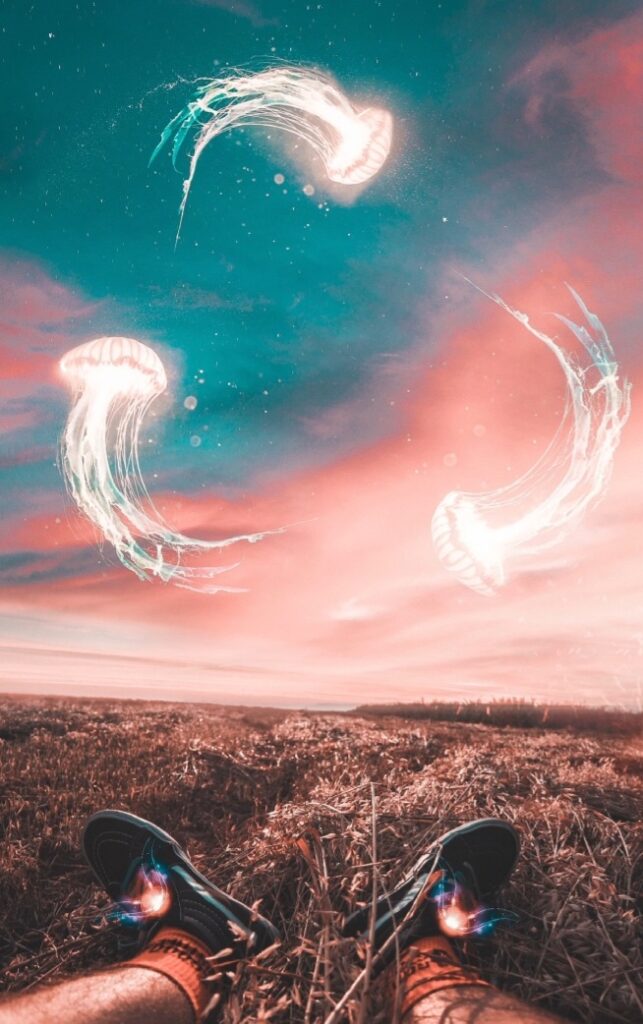 Screenshot 20240402 022346 Video Player